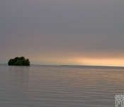 DSC_11122